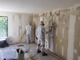 Mold Remediation for Vacation Homes in Murphy, MO